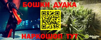 спиды Сланцы