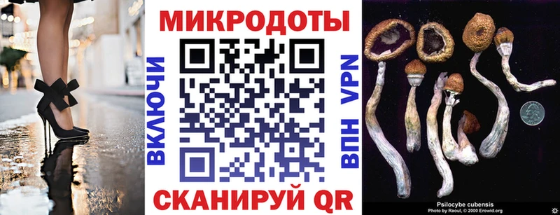 Псилоцибиновые грибы Magic Shrooms  Татарск 