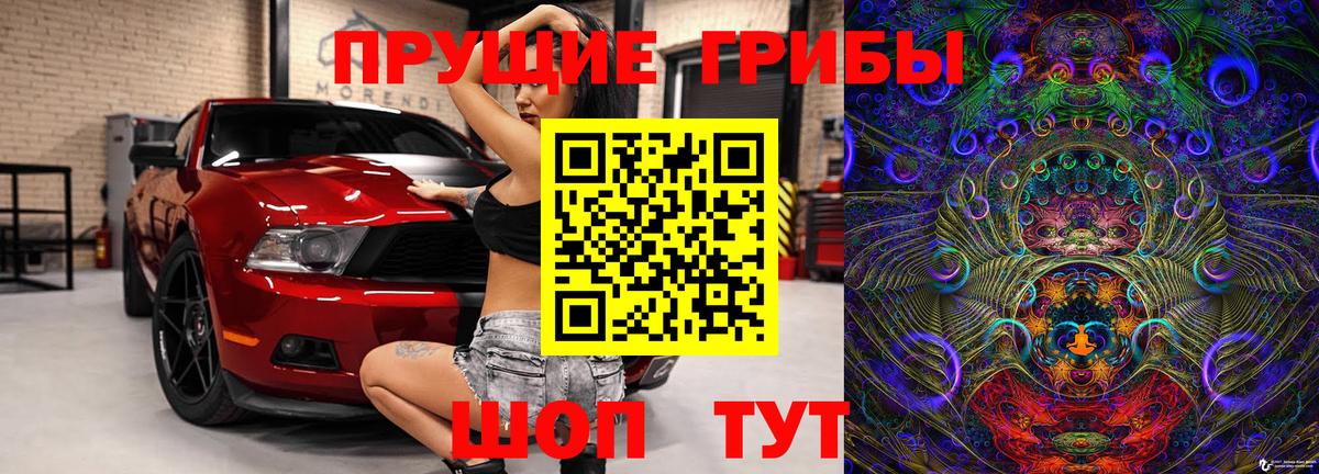 Татарск  хочу   Вход с VPN  Псилоцибиновые грибы ЛСД 